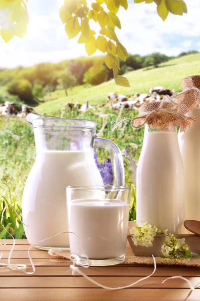 Recipientes de vidrio llenos de leche de vaca en un prado vertical —  Fotos de Stock