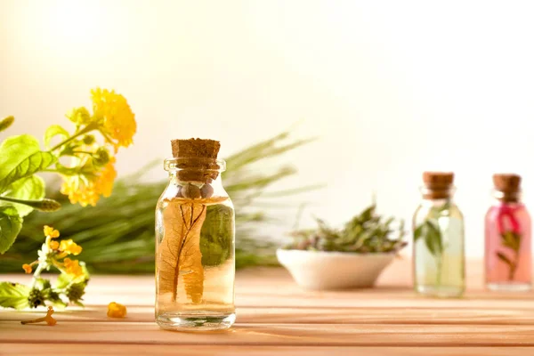 Jars with plant essence on wooden table and background plants — Stock Photo, Image