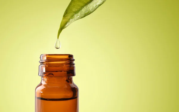 Hoja y gota de medicina natural cayendo en frasco aislado —  Fotos de Stock