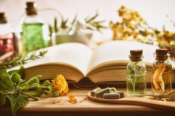 Medicina tradicional con plantas y libro sobre la mesa — Foto de Stock