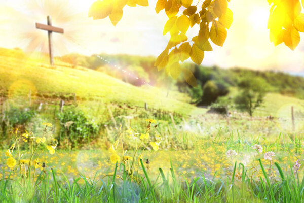 Природа с листьями и растениями с крестом на фоне холма. Горизонтальная композиция
.