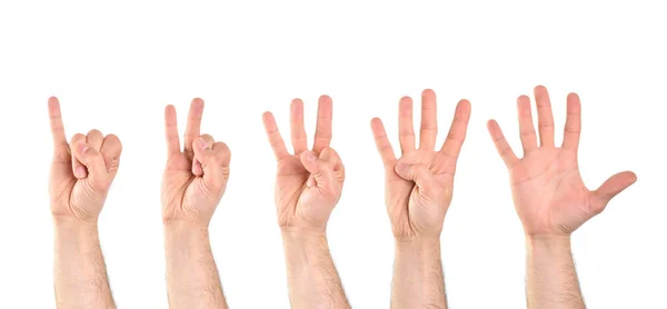 白の孤立した背景を持つ小さな指で始まる5つの手でカウントします 水平構成 — ストック写真