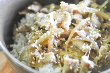 Pirinç tepesinde Japon gıda, tavada kızartılmış domuz eti yemek ile Kore yemeği