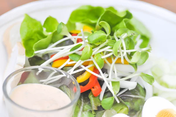 Salada de legumes com mil Ilha de vestir — Fotografia de Stock