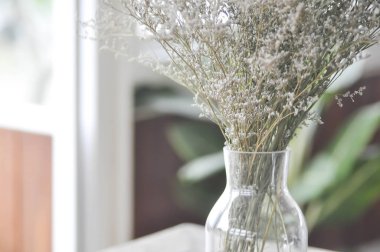 Mor caspia çiçek vazo ya da caspia çiçek