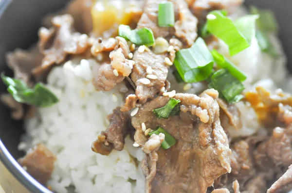 Nasi diatapi daging sapi atau mangkuk nasi sapi — Stok Foto