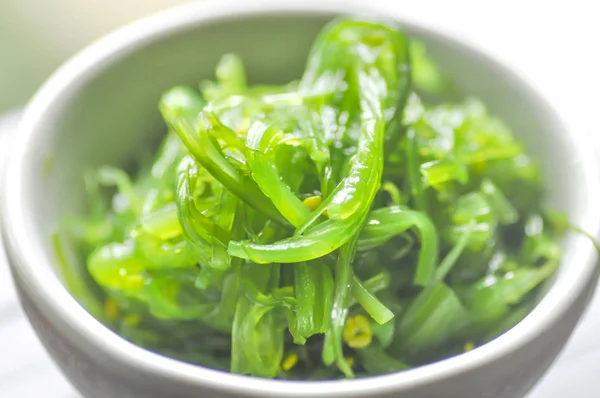 Seaweed salad dish — Stock Photo, Image