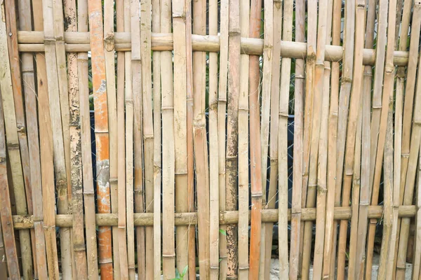 bamboo wall or bamboo fence