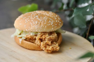 Tavuk burger ya da hamburger.