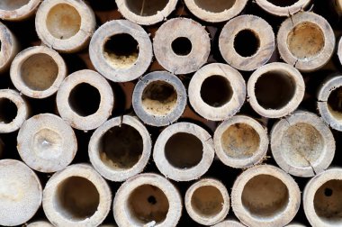 Bambu sapı, bambu kabuğu ya da bambu taşıması.