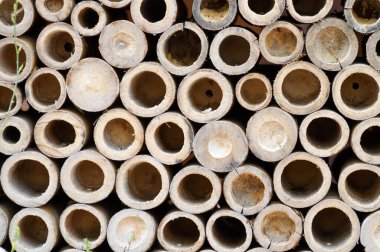 Bambu sapı, bambu kabuğu ya da bambu taşıması.