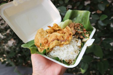 Omlet, omlet ve kızarmış fesleğenli domuz eti.