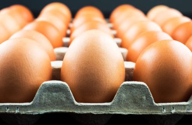 Yumurtalar karton bir kutuya konmuş. Güzel, temiz tavuk yumurtaları.