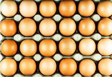 Yumurtalar karton bir kutuya konmuş. Güzel, temiz tavuk yumurtaları.