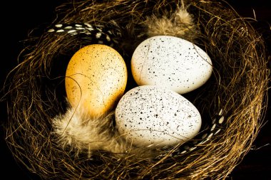 Yuvadaki Paskalya yumurtaları. Küçük bir yuvadaki tüy. Küçük kuş.