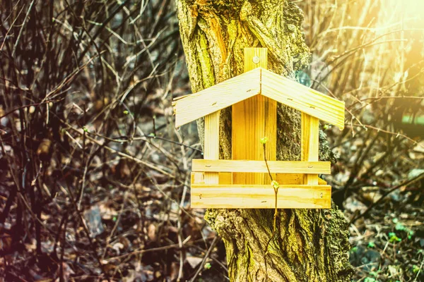 Help animals in the spring. Birdhouse for birds on a tree. Spring soon