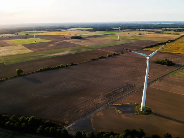 Wind Turbines Field Electricity Wind — Stock Photo, Image