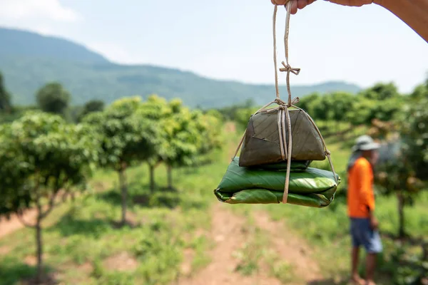 Yiyecek paketi için muz yaprakları ile plastik ikame malzemesi