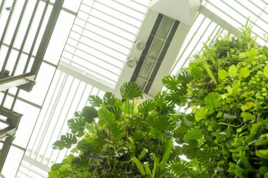 Binada ağaç var. Binayı ferahlatan yeşil alan.