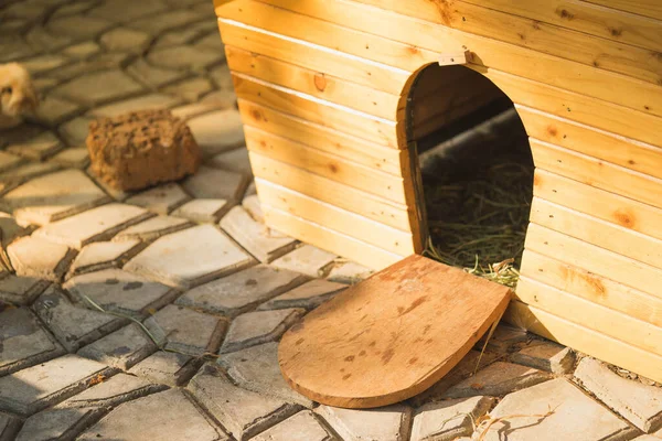 Rabbit House made of wood for the rabbit to hide in fear. — Stock Photo, Image