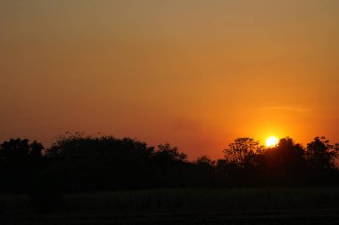 Yolun kenarında çimen olan gün batımı turuncu ışığı.