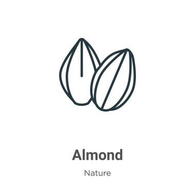 Badem ana hatlı vektör simgesi. Beyaz arkaplanda izole edilmiş ince çizgi siyah badem simgesi, düz vektör basit element illüstrasyonu