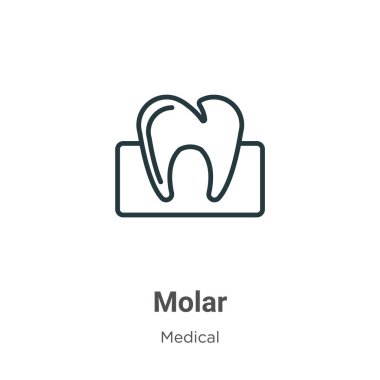 Molar outline vektör simgesi. İnce çizgi siyah molar simgesi, düz vektör basit element çizimi beyaz arkaplanda izole edilmiş tıbbi konseptten