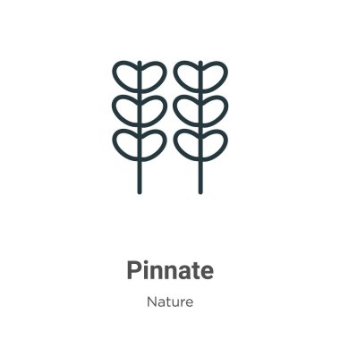 Pinnate outline vector icon. Thin line black pinnate icon, flat vector simple element illustration from editable nature concept isolated on white background