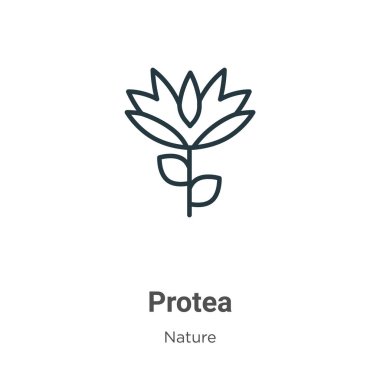 Protea outline vector icon. Thin line black protea icon, flat vector simple element illustration from editable nature concept isolated on white background