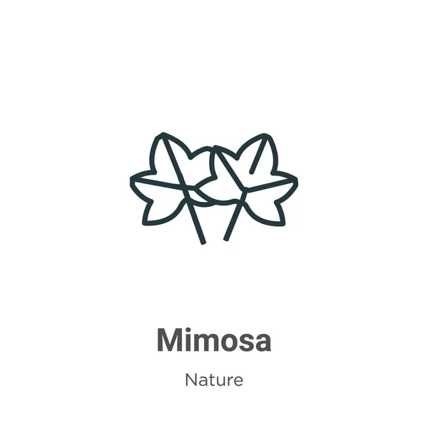 Mimosa Outline Vector Icon Thin Line Black Mimosa Icon Flat — Stock vektor