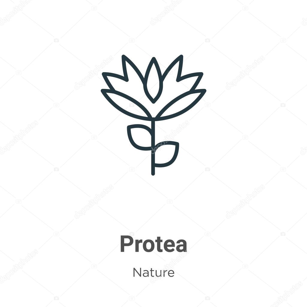 Protea outline vector icon. Thin line black protea icon, flat vector simple element illustration from editable nature concept isolated on white background