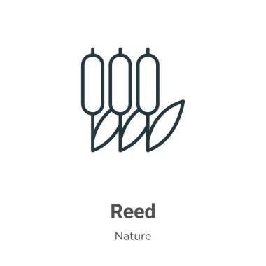Reed outline vector icon. Thin line black reed icon, flat vector simple element illustration from editable concept isolated on white background