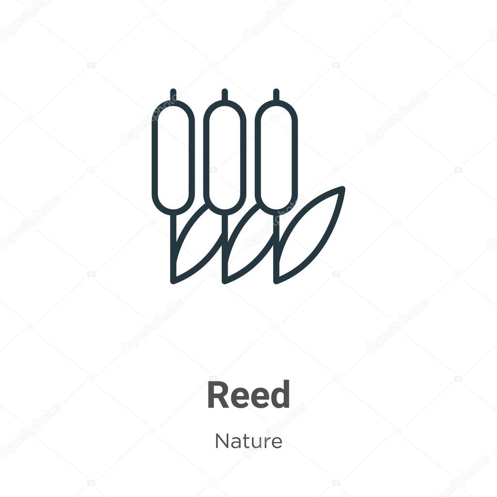 Reed outline vector icon. Thin line black reed icon, flat vector simple element illustration from editable concept isolated on white background