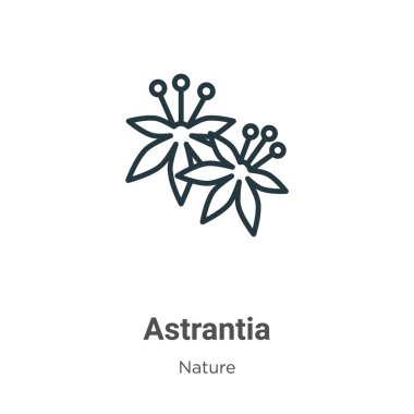 Astrantia ana hat vektör simgesi. İnce çizgi siyah astrantia simgesi, düz vektör basit element illüstrasyonu düzenlenebilir doğa kavramından beyaz arkaplanda izole edilmiş vuruş