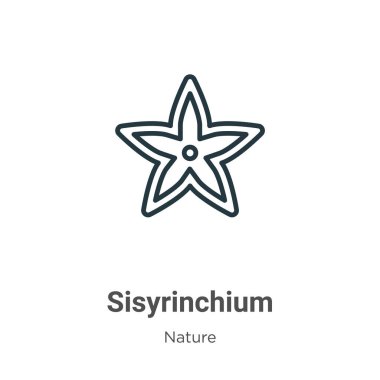 Sisyrinchium ana hat vektör simgesi. İnce çizgi siyah sisisisyum simgesi, düz vektör basit element illüstrasyonu düzenlenebilir doğa kavramından beyaz zemin üzerinde izole edilmiş vuruş