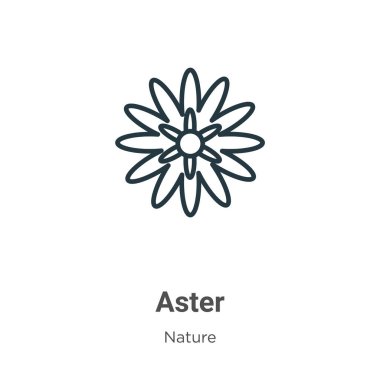 Aster ana hat vektör simgesi. İnce çizgi siyah aster simgesi, düz vektör basit element illüstrasyonu düzenlenebilir doğa kavramından beyaz arkaplanda izole edilmiş vuruş