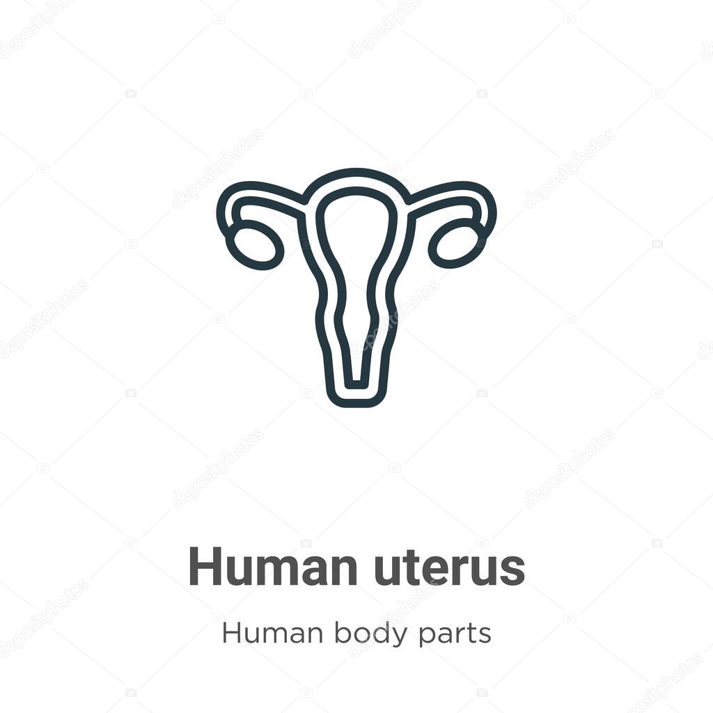 Human uterus outline vector icon. Thin line black human uterus icon, flat vector simple element illustration from editable human body parts concept isolated stroke on white background
