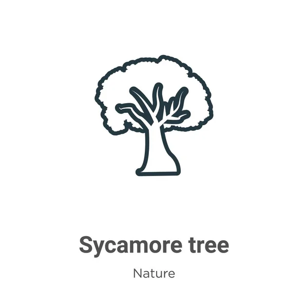 Sycamore Boom Omtrek Vector Icoon Dunne Lijn Zwart Sycamore Boom — Stockvector