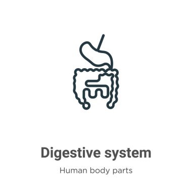 Sindirim sistemi ana hatlı vektör simgesi. İnce çizgi siyah sindirim sistemi simgesi, düz vektör basit element çizimi düzenlenebilir insan vücut parçaları konsepti beyaz arkaplanda izole edilmiş vuruş