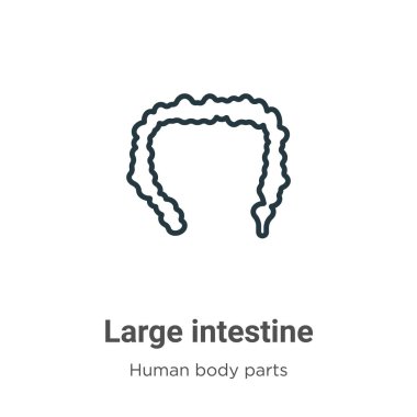 Kalın bağırsak taslağı vektör simgesi. İnce çizgi siyah bağırsak ikonu, düz vektör basit element çizimi düzenlenebilir insan vücut parçaları konsepti beyaz arkaplanda izole edilmiş vuruş