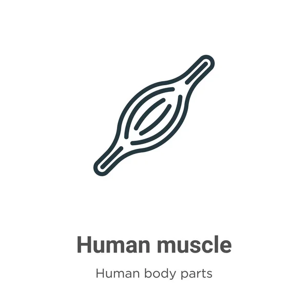 Icono Vector Contorno Muscular Humano Icono Músculo Humano Negro Línea — Vector de stock