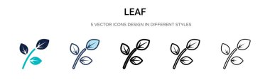 Yaprak simgesi dolu, ince çizgi, özet ve vuruş stili. Mobil, ui, web için iki renkli ve siyah yaprak vektör ikonu tasarımı vektör illüstrasyonu kullanılabilir