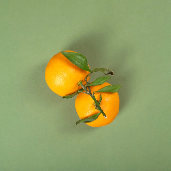Duas mandarinas frescas e doces . — Fotografia de Stock