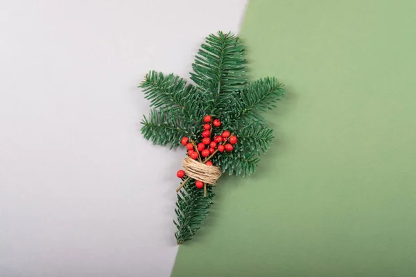 Rama de pino navideño con espacio para tu texto . — Foto de Stock