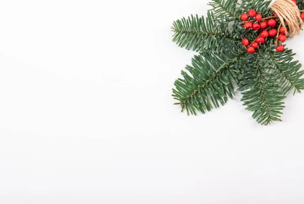 Rama de pino navideño con bayas rojas sobre fondo azul claro . — Foto de Stock