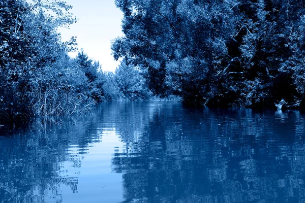 Vista pitoresca do rio de verão na cor azul clássico da moda do ano . Fotos De Bancos De Imagens