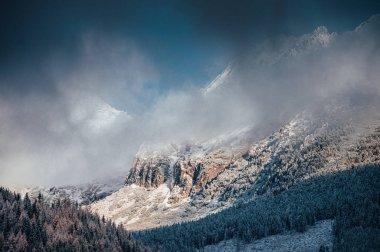 Kış dağları ve beyaz orman, Alpler, İsviçre