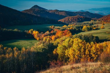 Güzel bir sonbahar duvar kağıdı. Sıcak akşam ışığında manzara