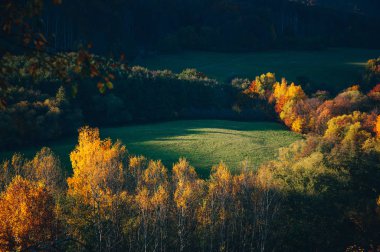 Sonbahar manzarası ılık akşam ışığında.