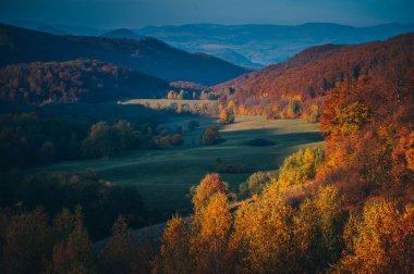 Çayırda renkli ağaçlar, vadide sis ve arka planda dağ sıraları olan şaşırtıcı sonbahar manzarası. Ulusal Doğal Park Synevir, Karpat Dağları,